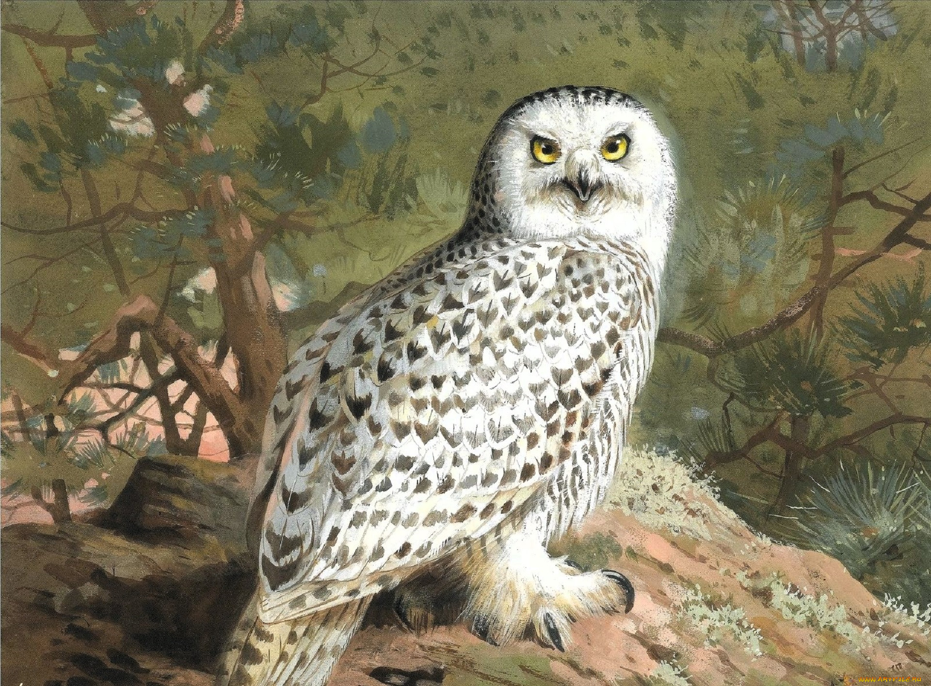 , archibald thorburn, , , , 